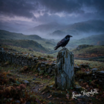 The Morrigan: Irish Goddess of War, Fate & Sovereignty